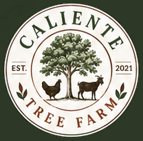 Caliente Tree Farm