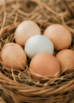 Farm fresh eggs in a basket