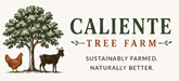 Caliente Tree Farm